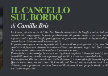 NUOVE USCITE: IL CANCELLO SUL BORDO di Camilla Bris